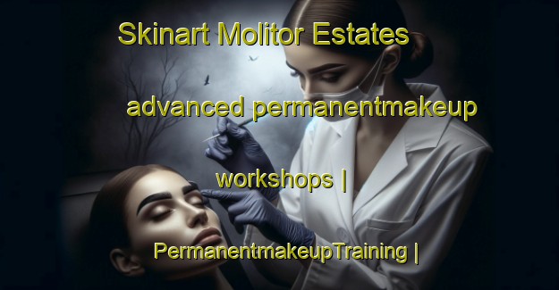 Skinart Molitor Estates advanced permanentmakeup workshops | PermanentmakeupTraining | PermanentmakeupClasses | SkinartTraining-United States
